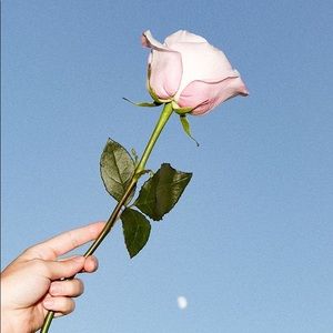 Meet your Posher, Lui